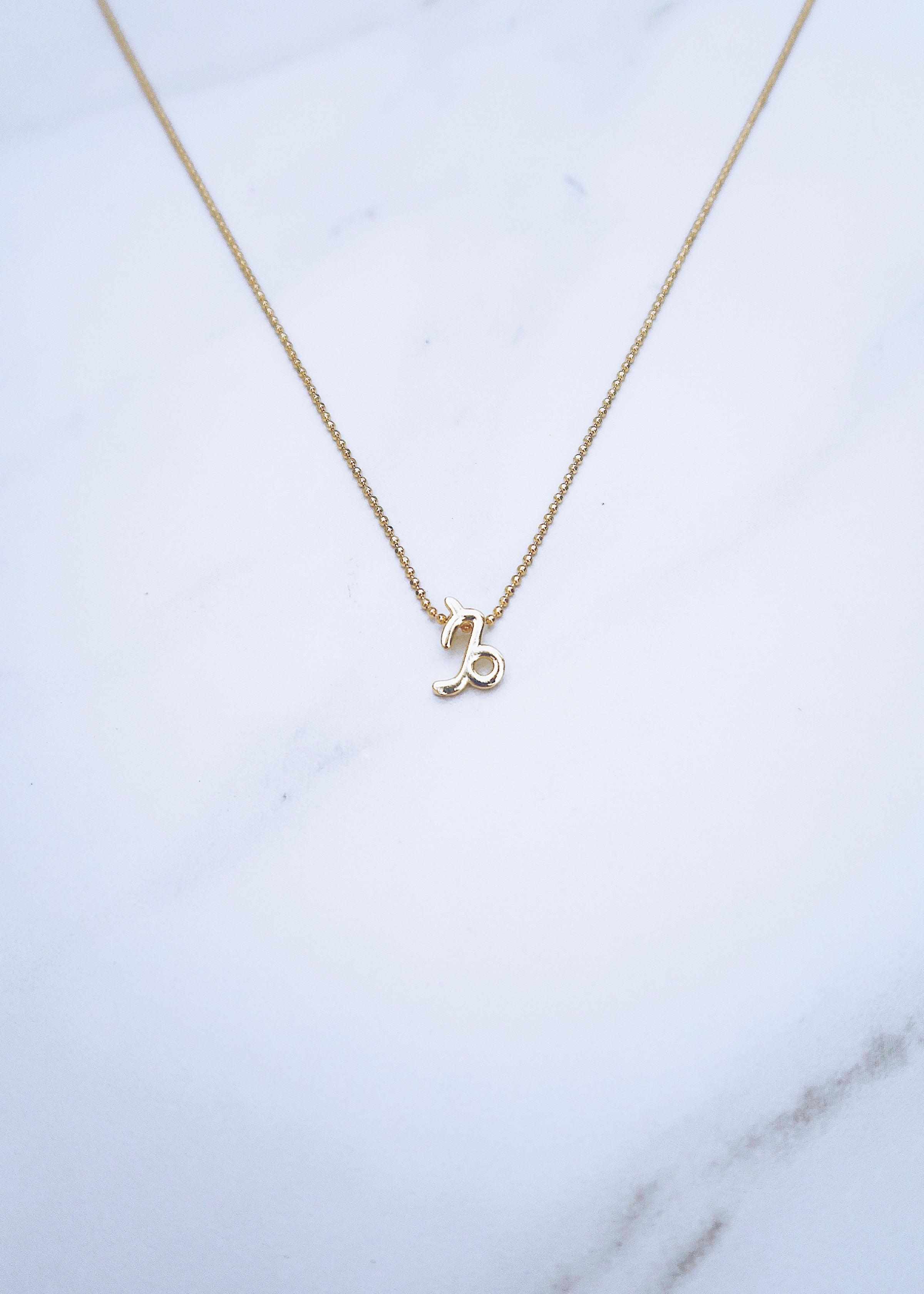 Capricorn Zodiac Necklace