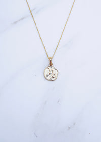 Capricorn Coin Necklace