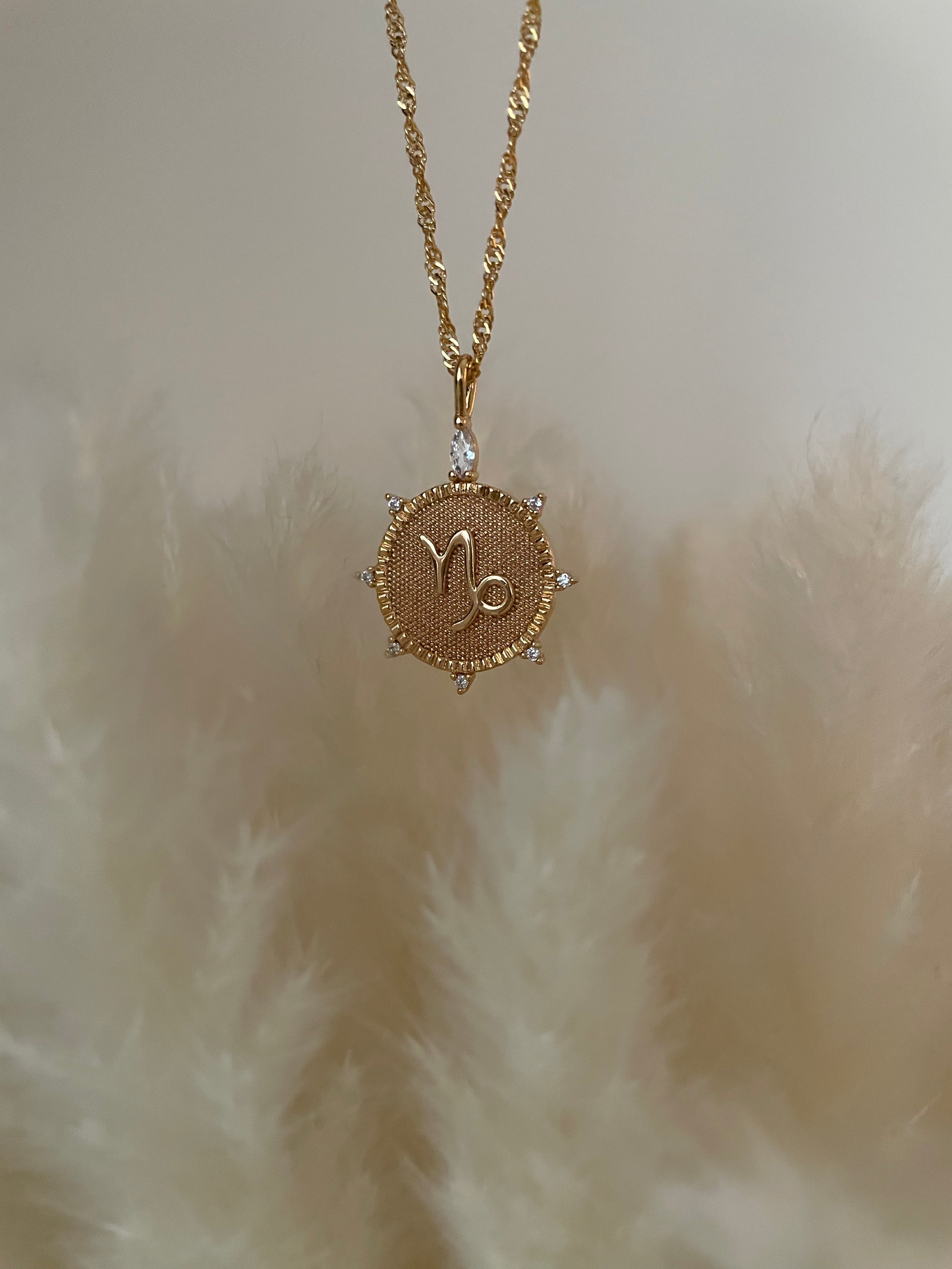 Capricorn Medallion Necklace