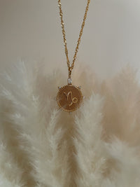 Capricorn Medallion Necklace
