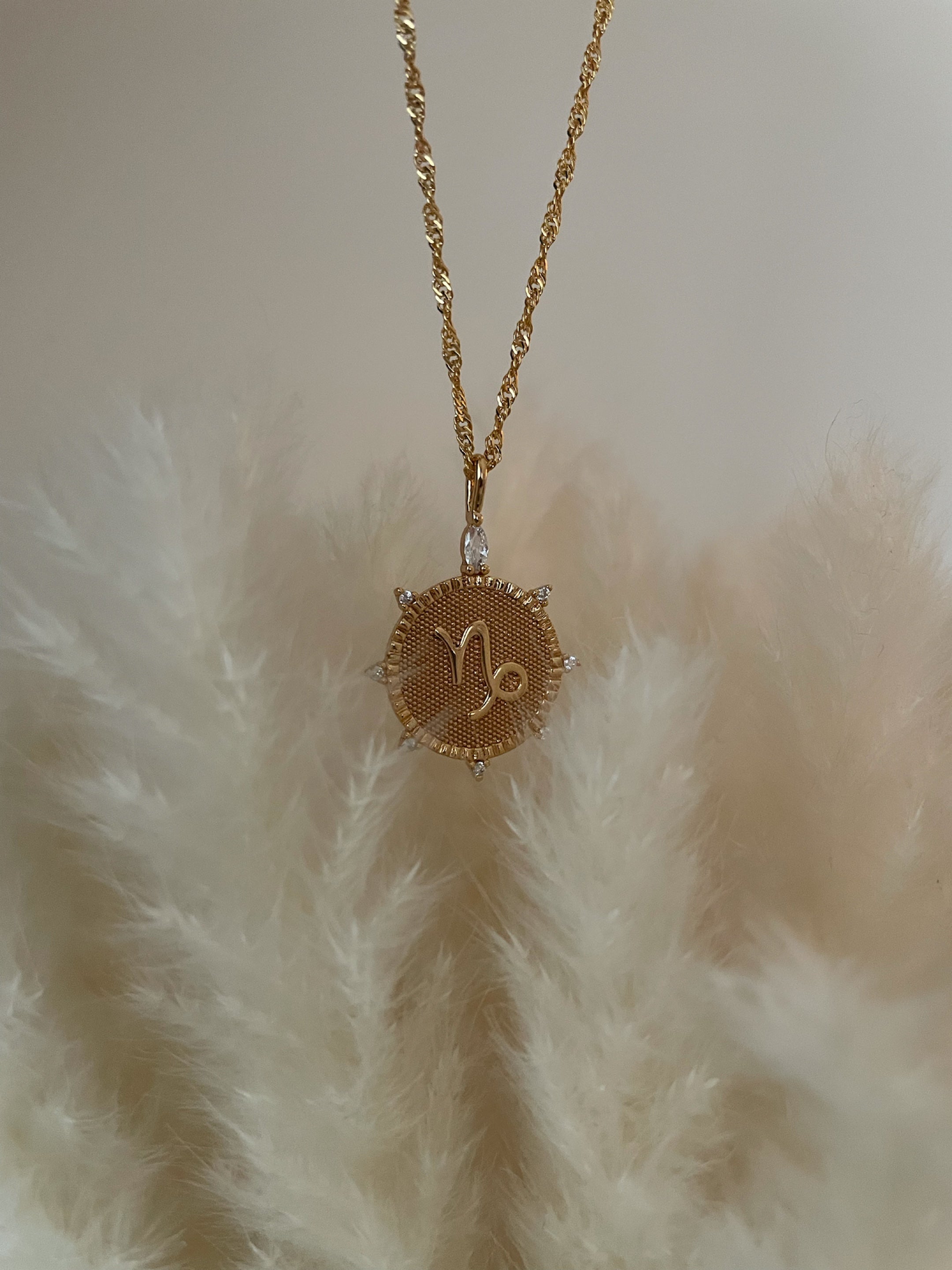 Capricorn Medallion Necklace