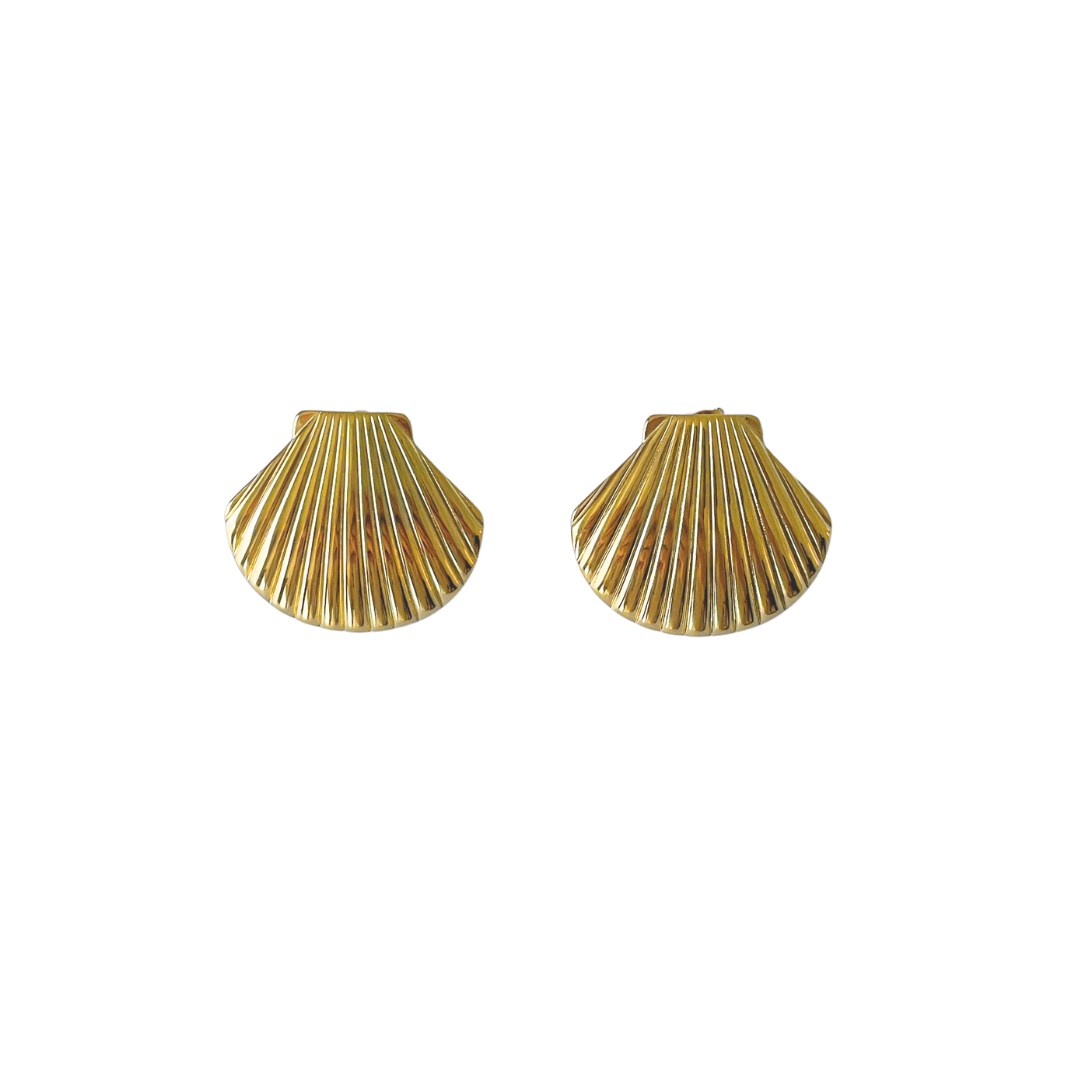 Polished Shell Studs