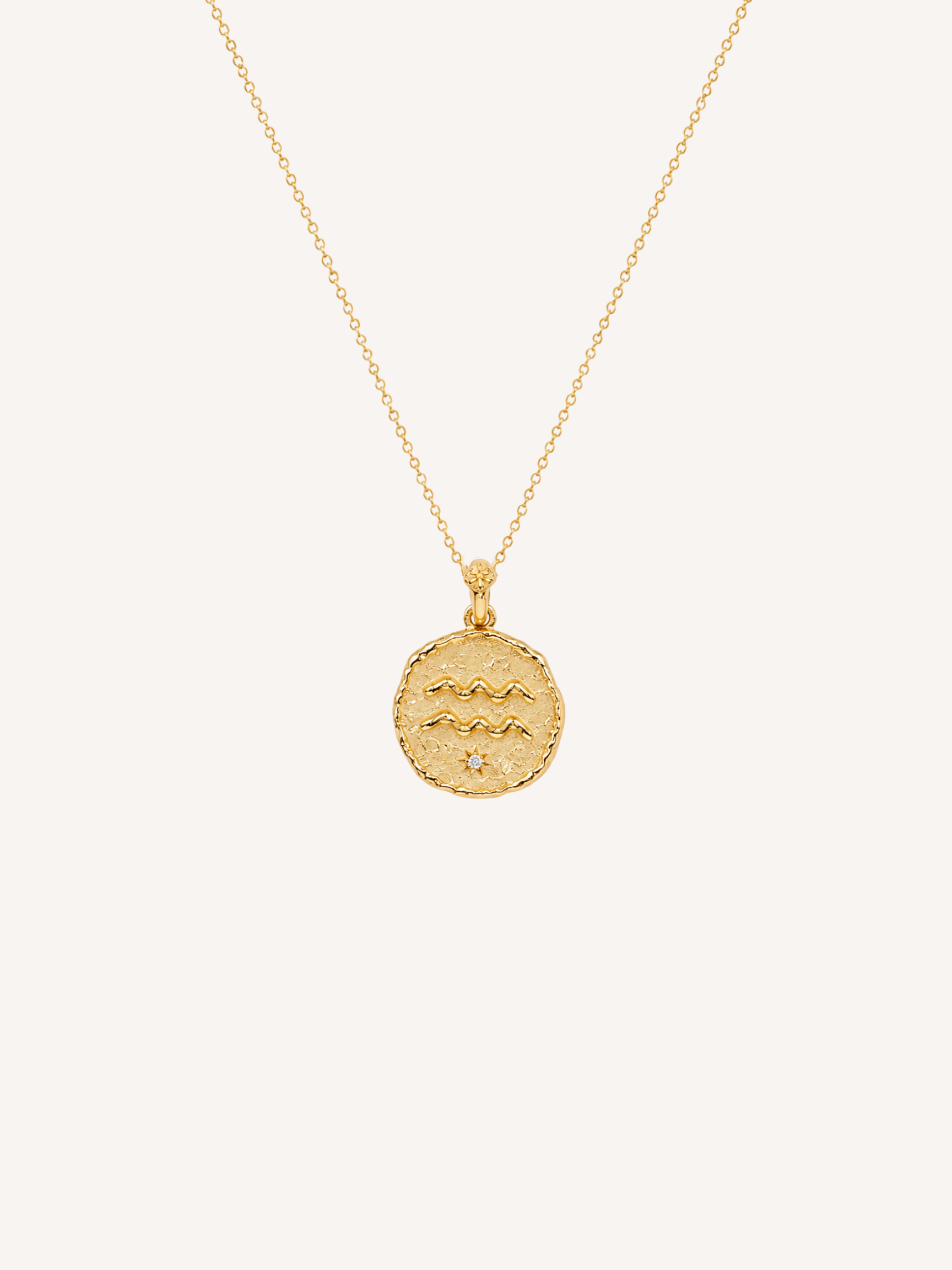 Aquarius Coin Necklace