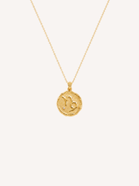 Capricorn Coin Necklace