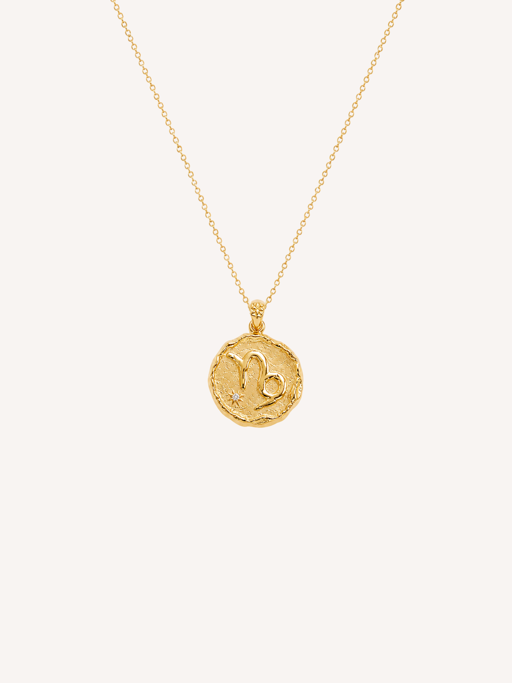 Capricorn Coin Necklace