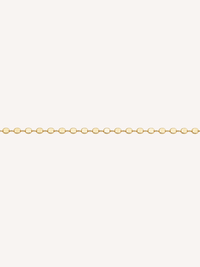 Disc Waist Chain