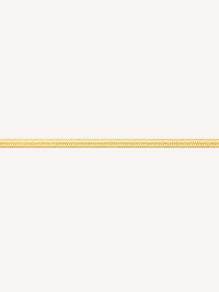 Snake Chain Anklet