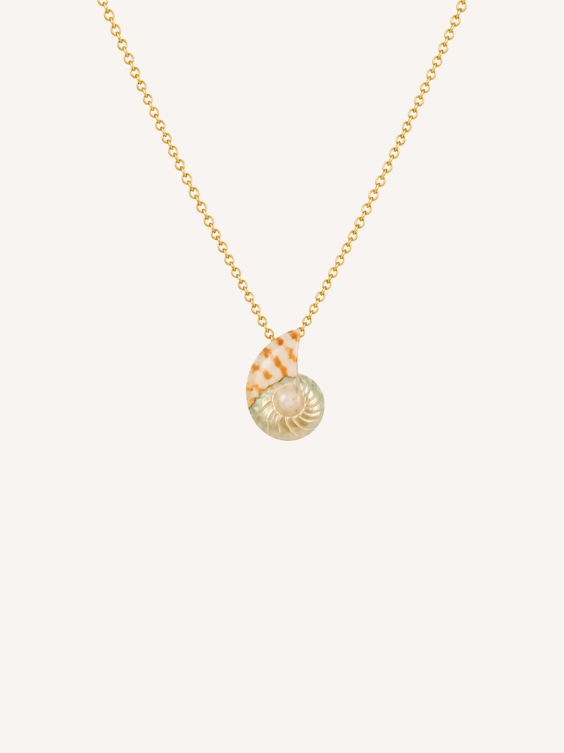 Gold pendant necklace featuring a genuine tiger shell pendant with natural cream and amber tones.