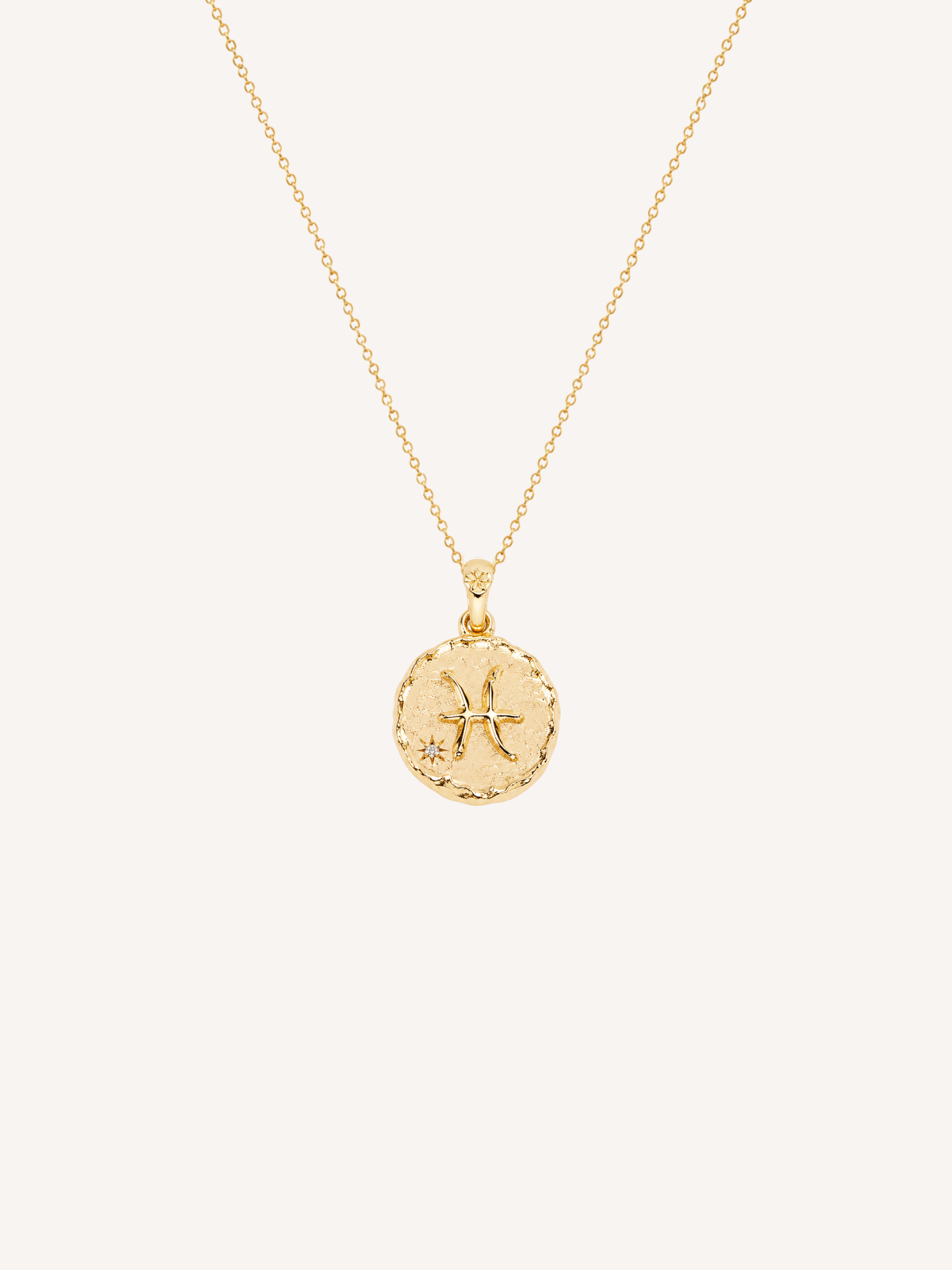 Pisces Coin Necklace