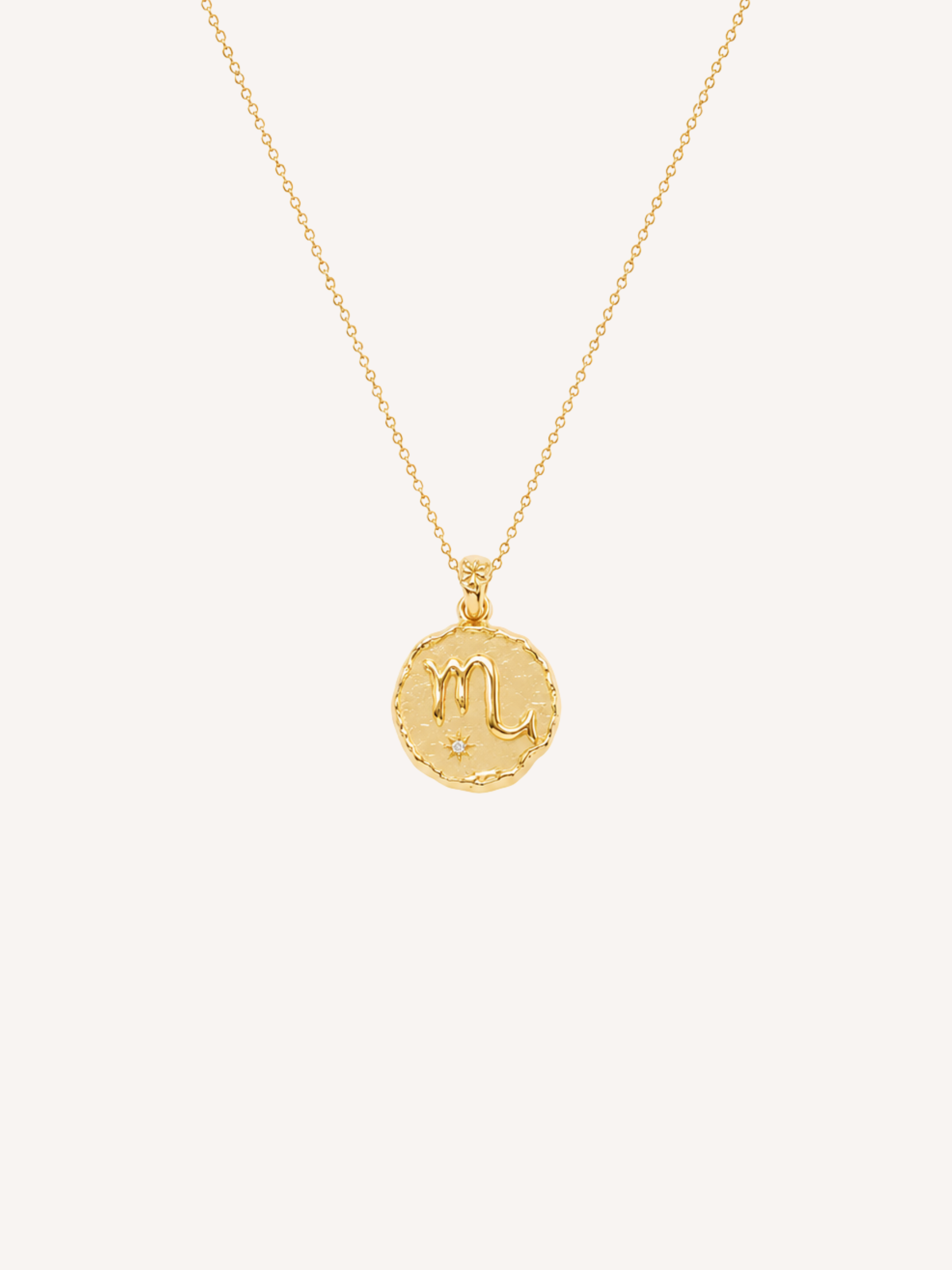 Scorpio Coin Necklace