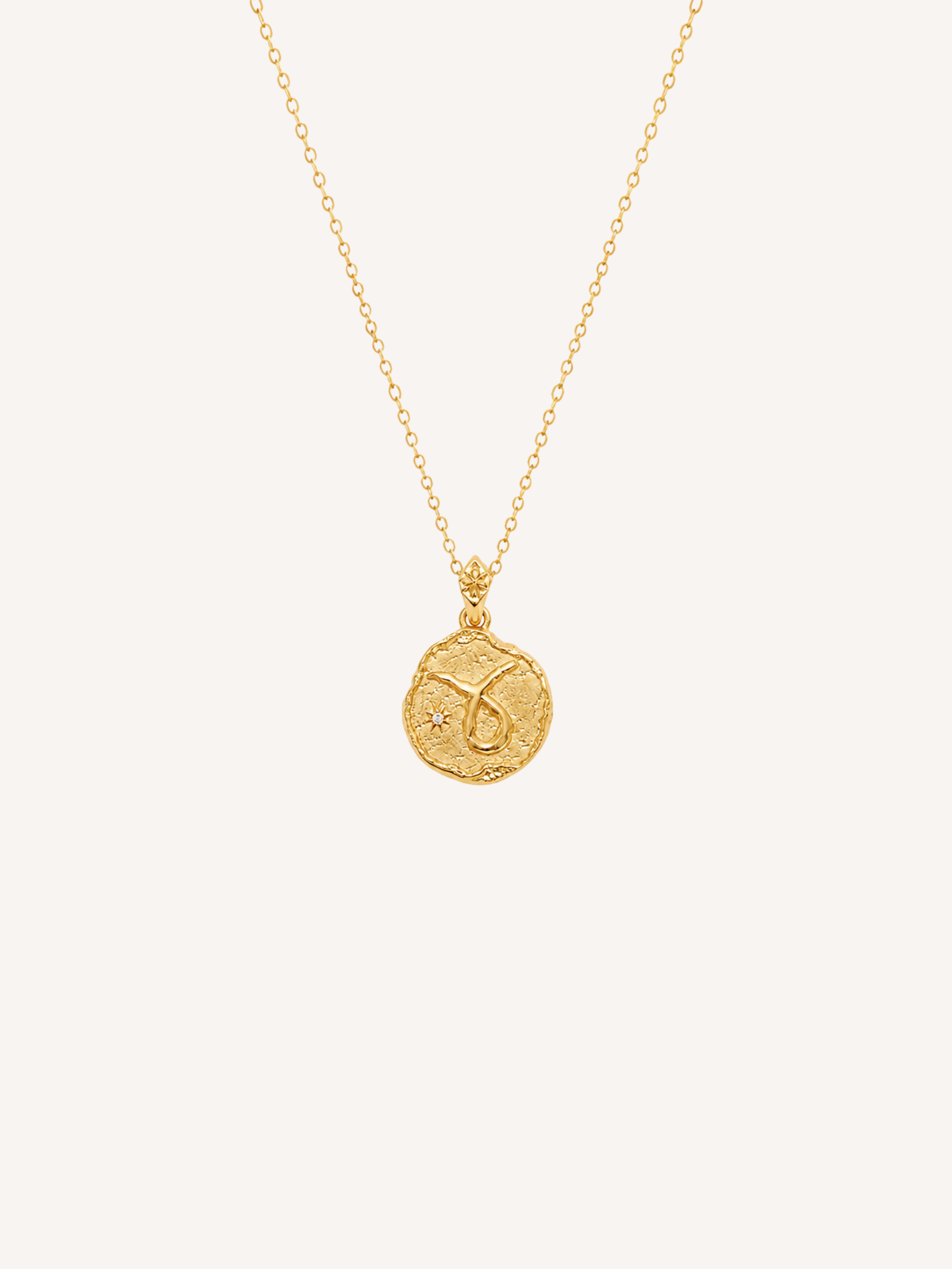 Taurus Coin Necklace